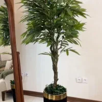 پخش عمده  و تک به قیمت عمده درختچه مصنوعی