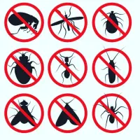 توری پلیسه آکاردئونی
