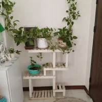 استند گل  با ۴ گل خوب و تازه