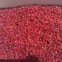 زرشک|خوردنی و آشامیدنی|مشهد, یاس|دیوار