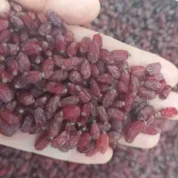 زرشک پفکی درجه یک