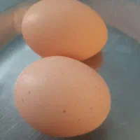 تخم مرغ