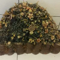 گل خشک رایگان
