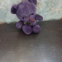 خرس بنفش