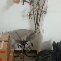 چراغ خواب