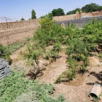 فروش-باغچه-نقلی