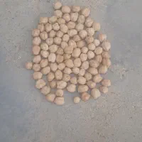 تخود