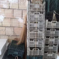 سبد پلاستیکی میوه (جعبه  پلاستیکی میوه)
