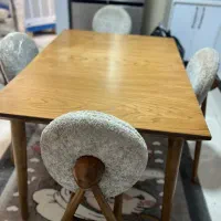 ناهار خوری ماهواره ای نو
