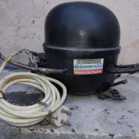 به شرط سالمی  موتور