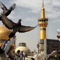 سفری باشکوه به مشهد الرضا //