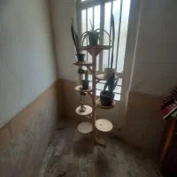 استند گل|گل و گیاه طبیعی|قم, قلعه کامکار|دیوار