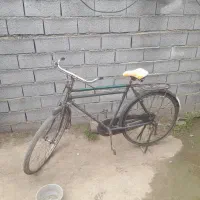 فونیکس ژاپن