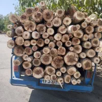 خریدانواع  چوب