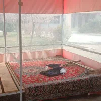 کانکس|فروشگاه و مغازه|بیرجند, |دیوار