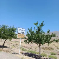 ۳۰۰متر زمین سند دار باغرود کاج
