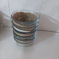 آبگوشت خوری