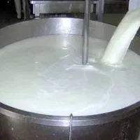 شیر تازه