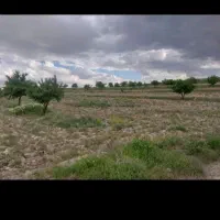قطعه زمین ویلایی در کوی اراز اقداش