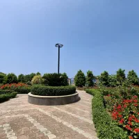 زمین ۵۰۰ متری پلاک اول مشارکت۵۰*۵۰