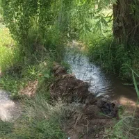 باغ-سرسبز-در-محمود-اباد-نهند