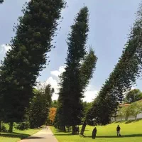 اجاره-کارگاه-و-منزل-مسکونی