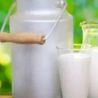 شیر تازه بز