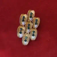 ۲ عدد سنجاق سینه
