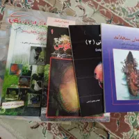 مقداری ماسه ساحلی و گوش ماهی