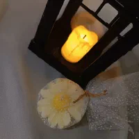 شمع ویژه‌ی مناسبت های مختلف   (قیمت استثنایی)