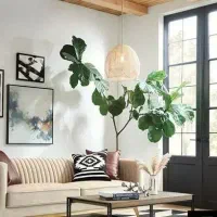 فروش-باغچه-1500-متر