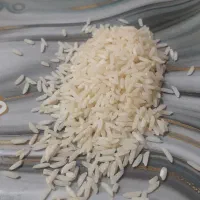 برنج شیرودی محلی محلی