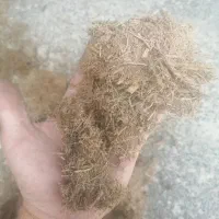 کاه