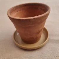 گلدان / سایز کوچک