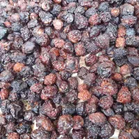 گیلاس خشک تازه