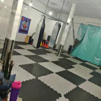 مربی/اجاره/ایروبیک/باشگاه/ژیمناستیک