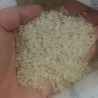 برنج کامفیروزی اعلا بشرط پخت