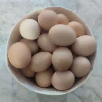تخم مرغ محلی