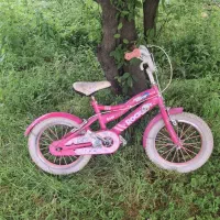 دوچرخه ۱۶  بچگانه رنگ صورتی