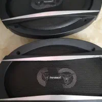 باند پایونیر