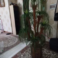 درختچه نخل مصنوعی