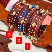 گردنبند و سینه بند سگ