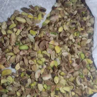 مغز پسته شیرین ریز واسه بستنی و ارده پزی پودرمعجون