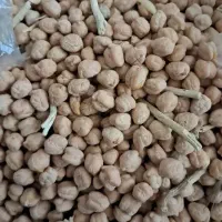 نخود سفید بذری مبارزه با گران فروشی ۱۶۰