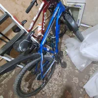 دوچرخهViva