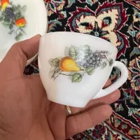 آرکوپال گل میوه