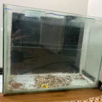 دوعدد   اکواریوم