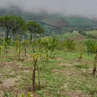 ۷۵۰متر زمین ویلایی