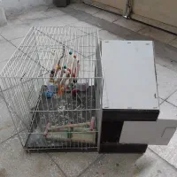 قفس پرنده وپوشال وغذا وقطره پرنده