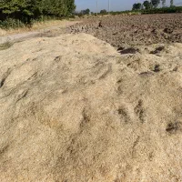 کاه جو فروش معاوضه